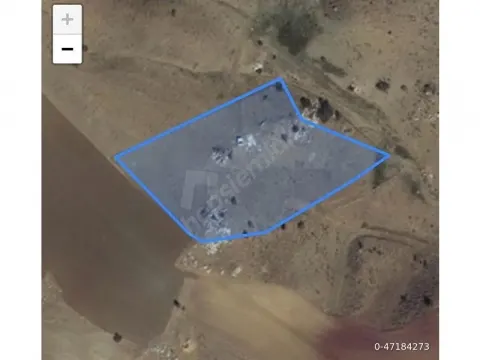 ÇOK ACİL SATILIK TEL ÖRGÜSÜ ÇEKİLİ 5225 METRE ACİL OLDUĞU İÇİN DEĞERİNİN AŞAĞISINDA