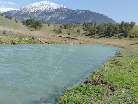 GÖKSUN KALE'DE ÇAYA VE BARAJA ÇOK YAKIN , YOLU OLAN SULU TARLA