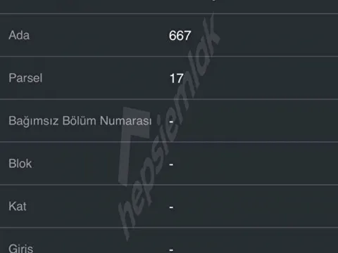 BAHÇELİ MÜSTAKİL 3+1 EV | KAPALI GARAJ | MEYVE AĞAÇLARI | 2 ADET ÜZÜM BAĞI