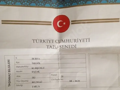 cilek tarlasi
