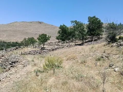 yukarı develi satlık bağ