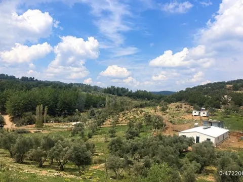 Yerkesik'te 26 dönüm tek tapu tarla