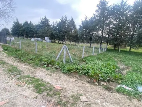 İstanbul'un incisi Çatalca kestanelik mahallesi satılık 250 m2 arsa