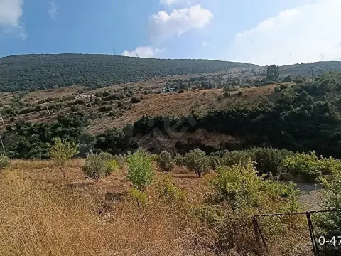 Cırtıman Mahallesi Ada mevkii Yaylası 1.620 metre tek tapulu bahçe