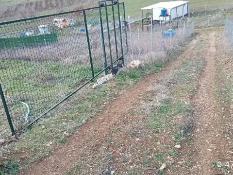 acil satılık 210 metrekare kooperatif hisseli bahçe