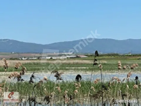sabinden kus cenneti köyü satılık tarla