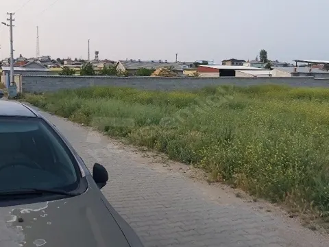 YATIRIMLIK. AÇIKLAMAYI LÜTFEN OKUYUN