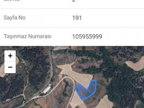 Banaz köyü merkez yol kenarında 4991 metrekare tarla