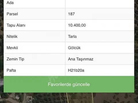 GÖYNÜKLÜ’DE YOLA CEPHELİ KÖY YERLEŞİM SINIRLARI İÇİNDE 10400 m2 tSATILIK TARLA