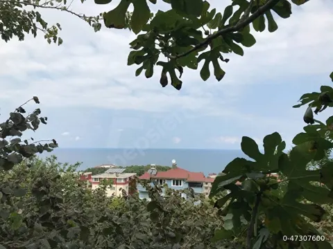 SAHİBİNDEN ACİL SATILIK İMARLI VE İFRAZLI 440 M² ARSA