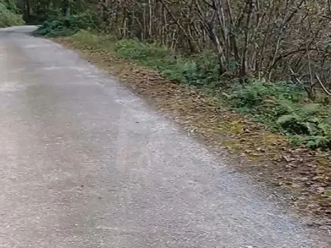 Giresun Görele'de Müstakil Tapulu Ana Yola Cephe 590 m2 Parsel.