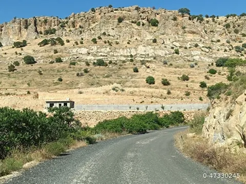 zınnarda 2 dönüm villa yapımına uygun arsa
