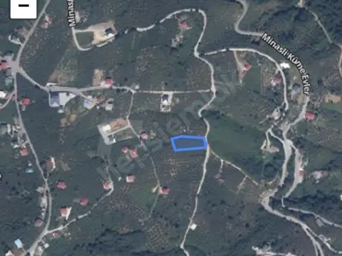 Trabzon/ortahisar Satılık fındık bahçesi