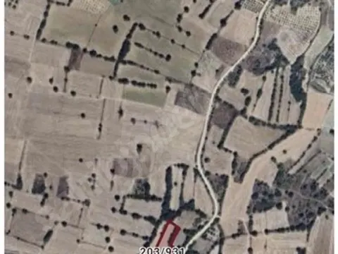 Bilecik Gölpazarı Karaağaç köyü