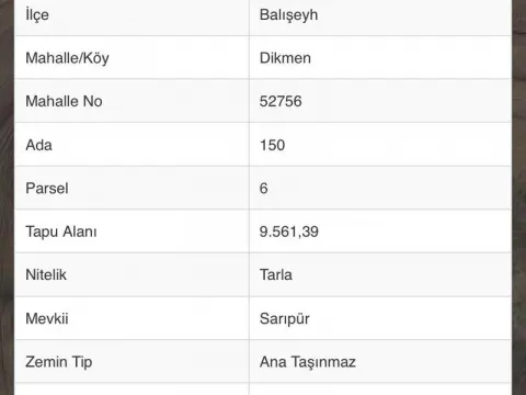 GELİŞMEKTE OLAN BÖLGE