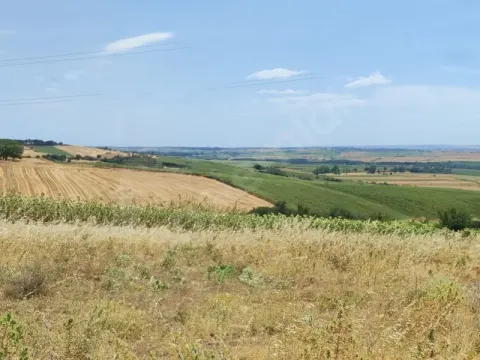 Sahibinden satılık tarla Uzunköprü Yeniköy Mahallesi'nde