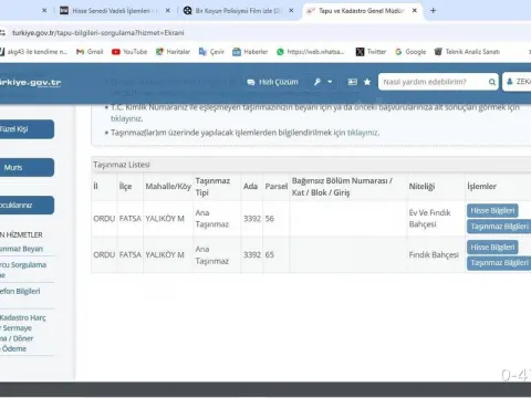 Sahibinden Müstakil Tapulu 2 Parsel