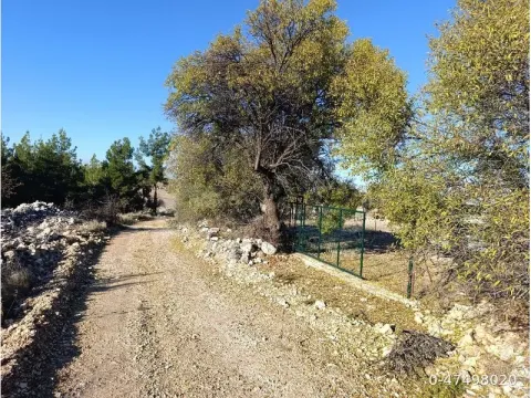 uzunpinar koyun dibi imar sınırında
