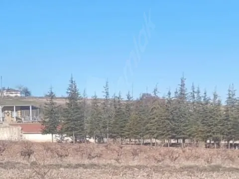 Nevşehir de Köyiçi  3190 m2