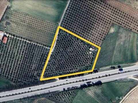 SAHİBİNDEN SALİHLİ OSB KARŞISI YOLA SIFIR  TARLA - DEĞERLİ ARAZİ