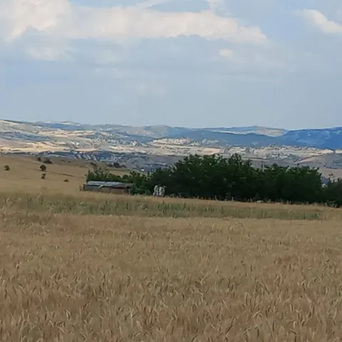 Ankara Kahramankazan Soğucak Köyü  500 Metrekare Hobi Bahçesi Eşyalı  Fiyatta Pazarlık Yapılır Konum Açıklamada 